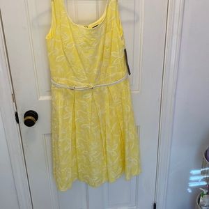Tahari Canary yellow summer dress with white detail and white belt. Size 8. NWT